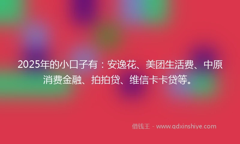 2025年的小口子有：安逸花、美团生活费、中原消费金融、拍拍贷、维信卡卡贷等。