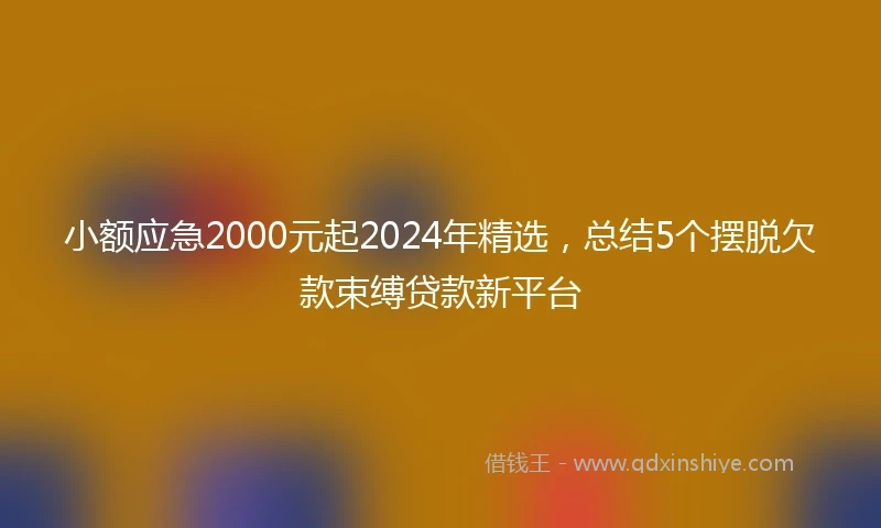 小额应急2000元起2024年精选，总结5个摆脱欠款束缚贷款新平台