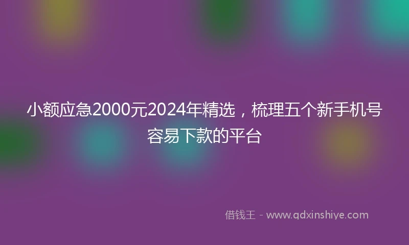 小额应急2000元2024年精选，梳理五个新手机号容易下款的平台