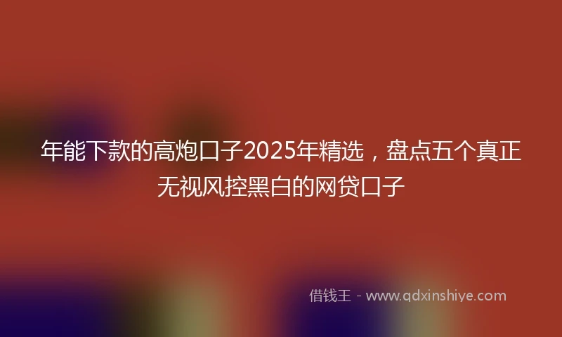 年能下款的高炮口子2025年精选，盘点五个真正无视风控黑白的网贷口子