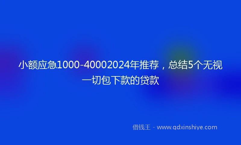小额应急1000-40002024年推荐，总结5个无视一切包下款的贷款