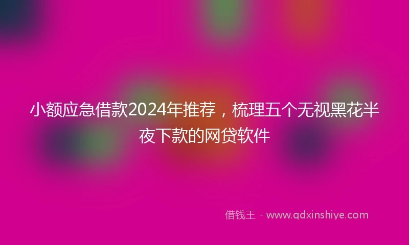 小额应急借款2024年推荐，梳理五个无视黑花半夜下款的网贷软件