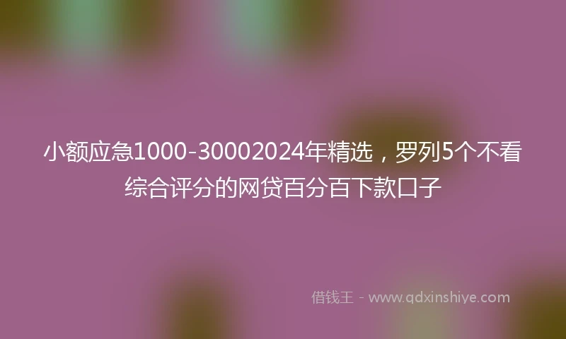 小额应急1000-30002024年精选，罗列5个不看综合评分的网贷百分百下款口子