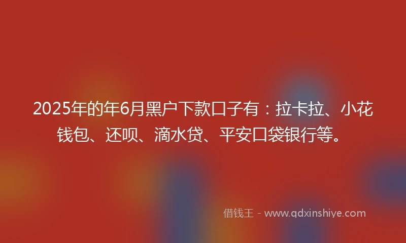 2025年的年6月黑户下款口子有：拉卡拉、小花钱包、还呗、滴水贷、平安口袋银行等。