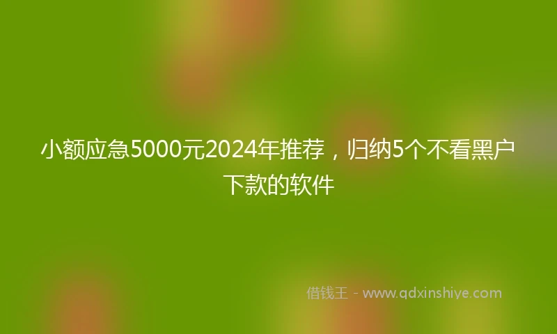小额应急5000元2024年推荐，归纳5个不看黑户下款的软件