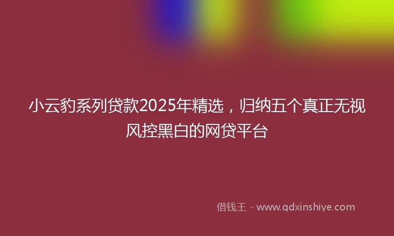 小云豹系列贷款2025年精选，归纳五个真正无视风控黑白的网贷平台