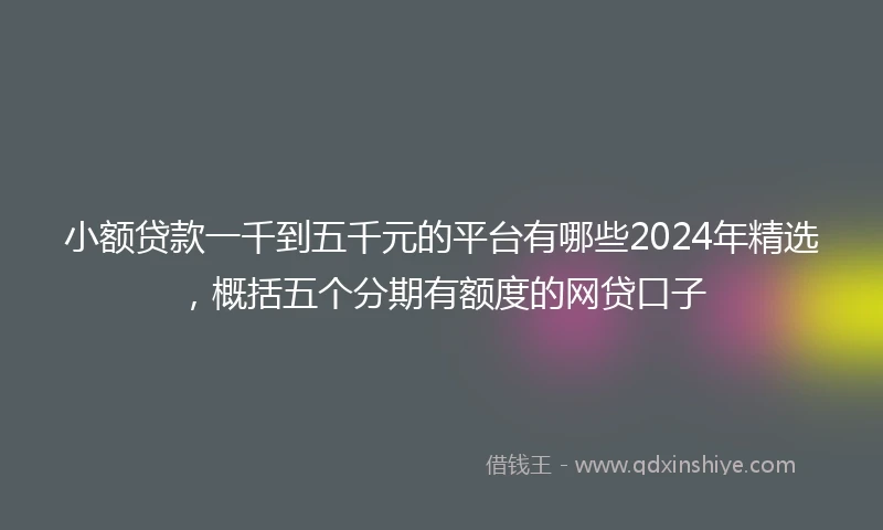 小额贷款一千到五千元的平台有哪些2024年精选，概括五个分期有额度的网贷口子