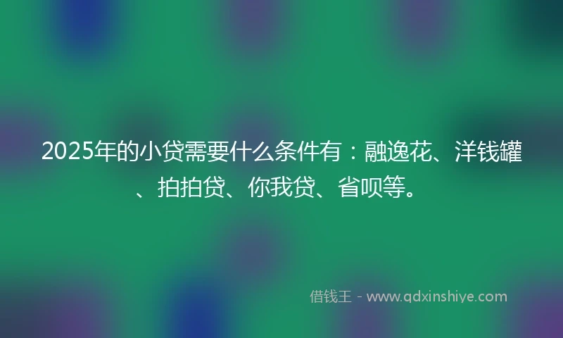 2025年的小贷需要什么条件有：融逸花、洋钱罐、拍拍贷、你我贷、省呗等。