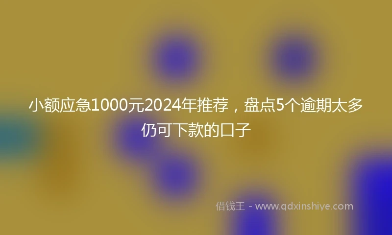 小额应急1000元2024年推荐，盘点5个逾期太多仍可下款的口子