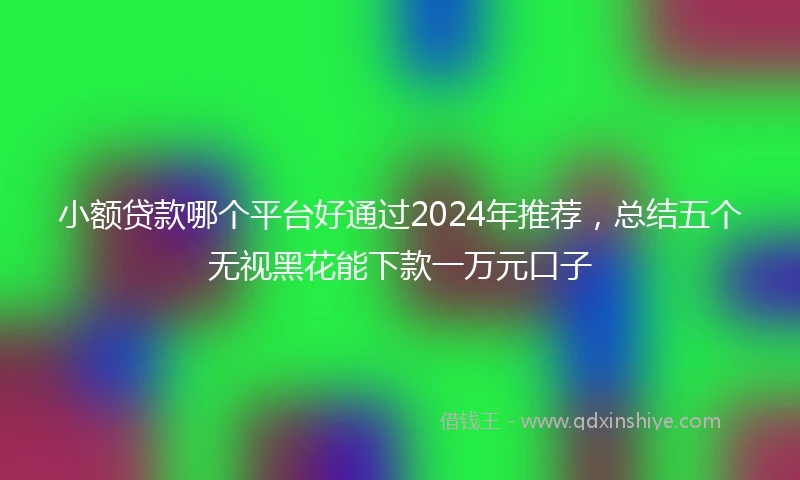 小额贷款哪个平台好通过2024年推荐，总结五个无视黑花能下款一万元口子