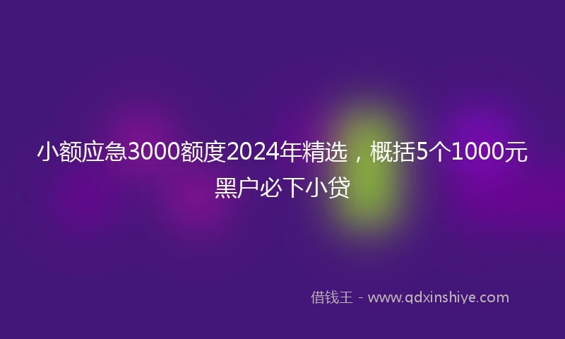 小额应急3000额度2024年精选，概括5个1000元黑户必下小贷