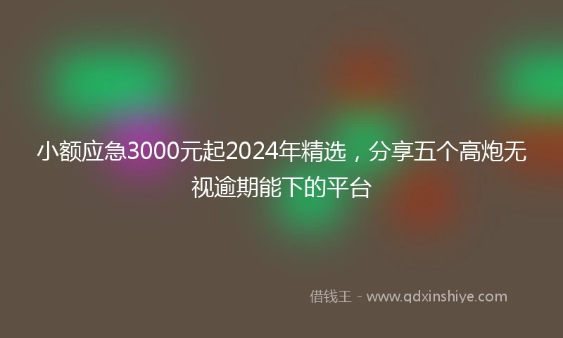 小额应急3000元起2024年精选，分享五个高炮无视逾期能下的平台