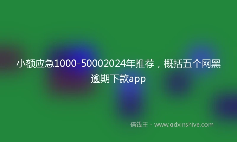 小额应急1000-50002024年推荐，概括五个网黑逾期下款app