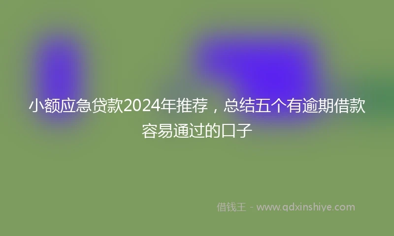 小额应急贷款2024年推荐，总结五个有逾期借款容易通过的口子