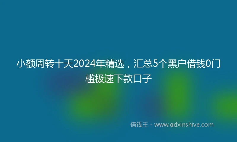 小额周转十天2024年精选，汇总5个黑户借钱0门槛极速下款口子