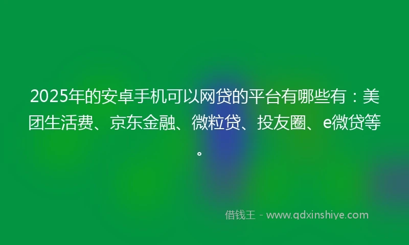 2025年的安卓手机可以网贷的平台有哪些有：美团生活费、京东金融、微粒贷、投友圈、e微贷等。