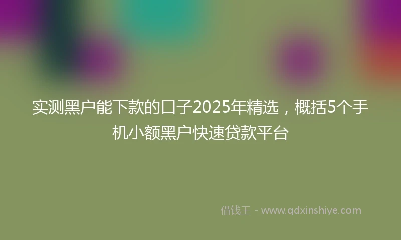 实测黑户能下款的口子2025年精选，概括5个手机小额黑户快速贷款平台