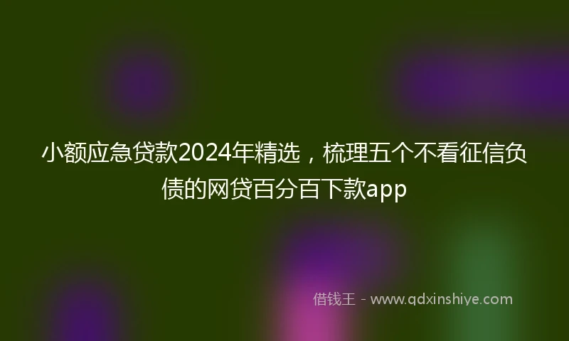 小额应急贷款2024年精选，梳理五个不看征信负债的网贷百分百下款app