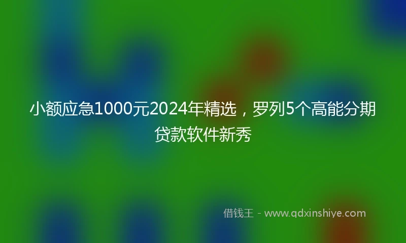 小额应急1000元2024年精选，罗列5个高能分期贷款软件新秀