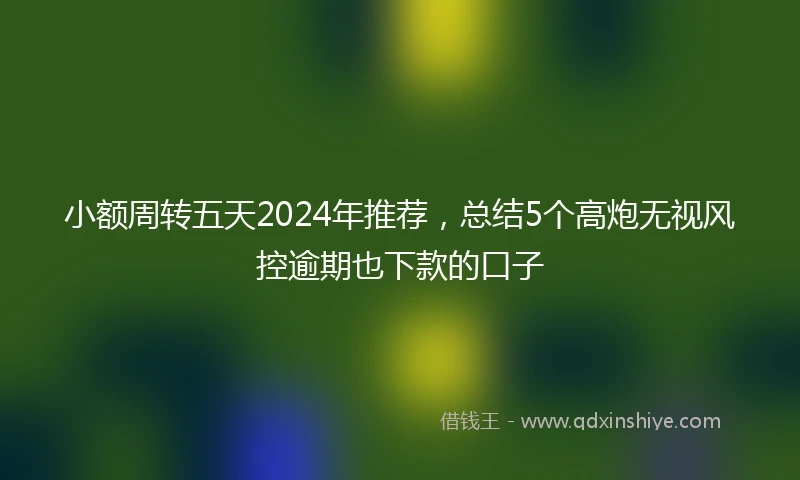 小额周转五天2024年推荐，总结5个高炮无视风控逾期也下款的口子