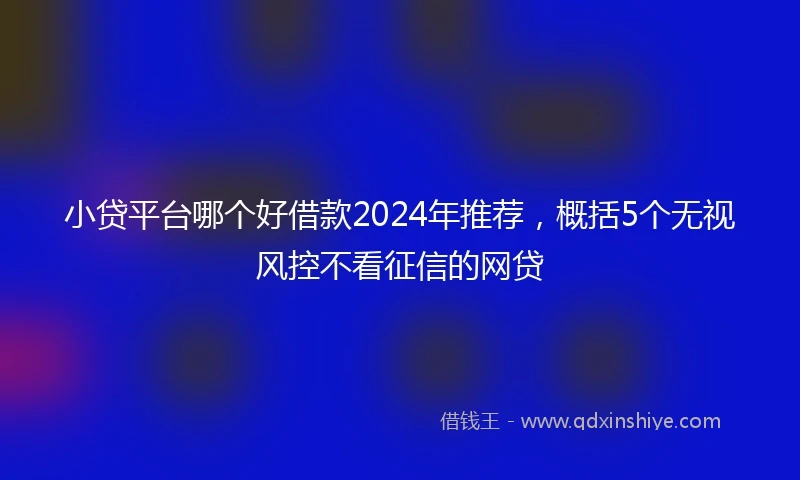 小贷平台哪个好借款2024年推荐，概括5个无视风控不看征信的网贷