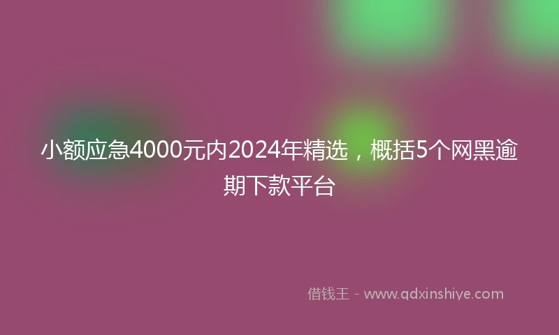 小额应急4000元内2024年精选，概括5个网黑逾期下款平台