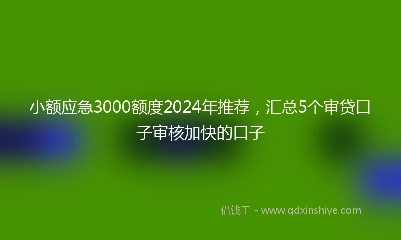 小额应急3000额度2024年推荐，汇总5个审贷口子审核加快的口子