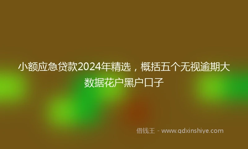 小额应急贷款2024年精选，概括五个无视逾期大数据花户黑户口子