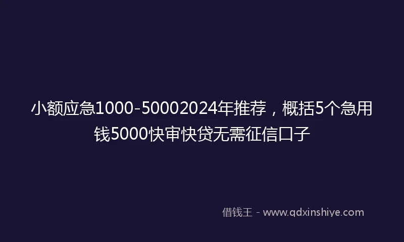 小额应急1000-50002024年推荐，概括5个急用钱5000快审快贷无需征信口子