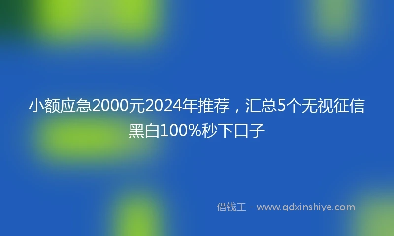 小额应急2000元2024年推荐，汇总5个无视征信黑白100%秒下口子