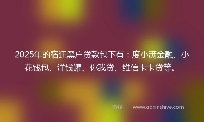 2025年的宿迁黑户贷款包下有：度小满金融、小花钱包、洋钱罐、你我贷、维信卡卡贷等。
