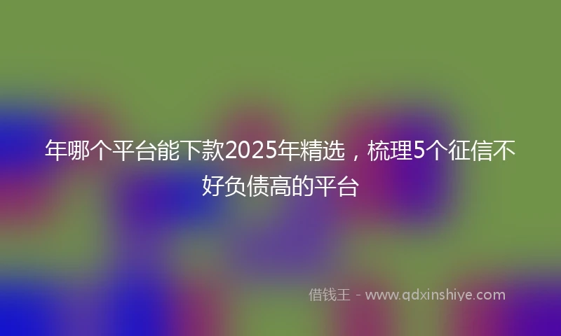 年哪个平台能下款2025年精选，梳理5个征信不好负债高的平台