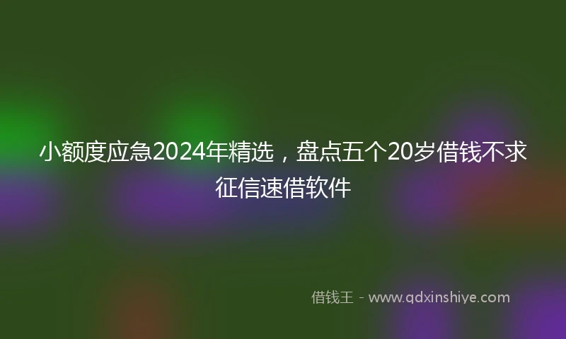 小额度应急2024年精选，盘点五个20岁借钱不求征信速借软件