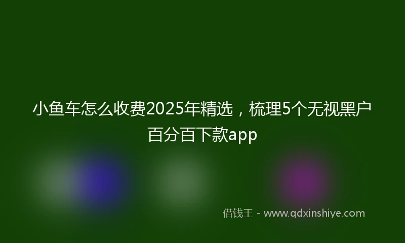 小鱼车怎么收费2025年精选,梳理5个无视黑户百分百下款app
