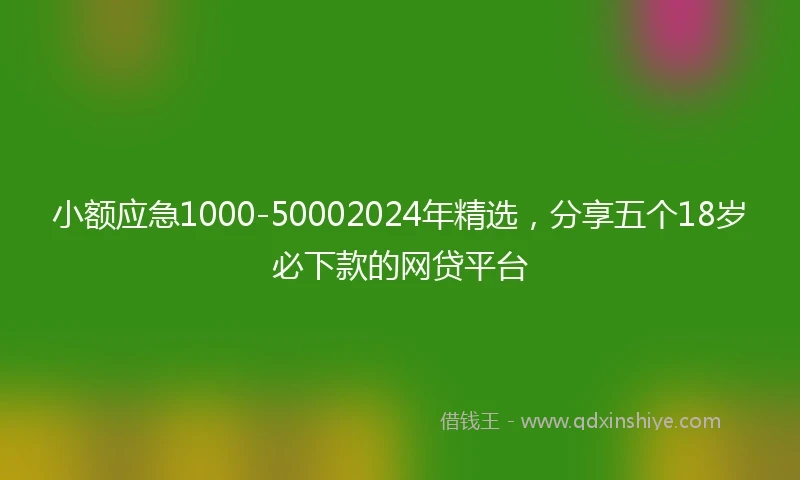 小额应急1000-50002024年精选，分享五个18岁必下款的网贷平台