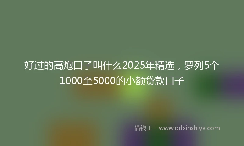好过的高炮口子叫什么2025年精选，罗列5个1000至5000的小额贷款口子