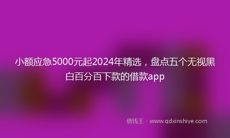 小额应急5000元起2024年精选，盘点五个无视黑白百分百下款的借款app