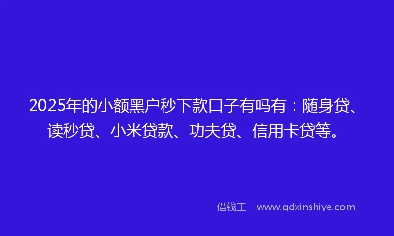 2025年的小额黑户秒下款口子有吗有：随身贷、读秒贷、小米贷款、功夫贷、信用卡贷等。