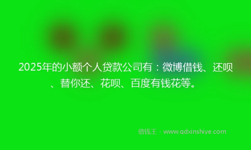 2025年的小额个人贷款公司有：微博借钱、还呗、替你还、花呗、百度有钱花等。