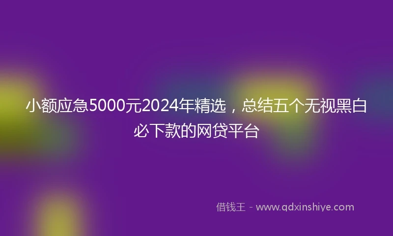 小额应急5000元2024年精选，总结五个无视黑白必下款的网贷平台