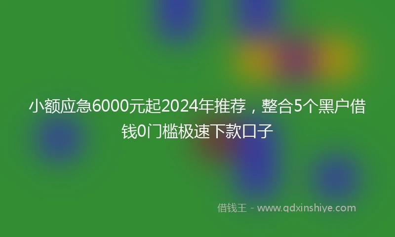 小额应急6000元起2024年推荐，整合5个黑户借钱0门槛极速下款口子