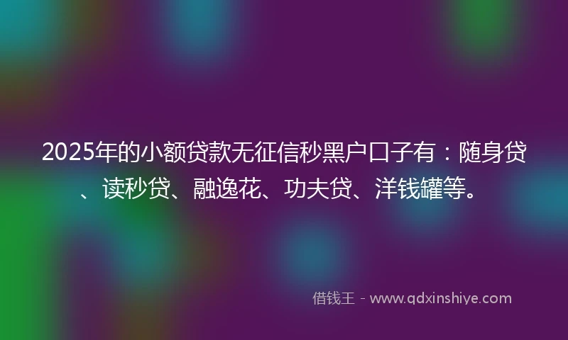 2025年的小额贷款无征信秒黑户口子有：随身贷、读秒贷、融逸花、功夫贷、洋钱罐等。