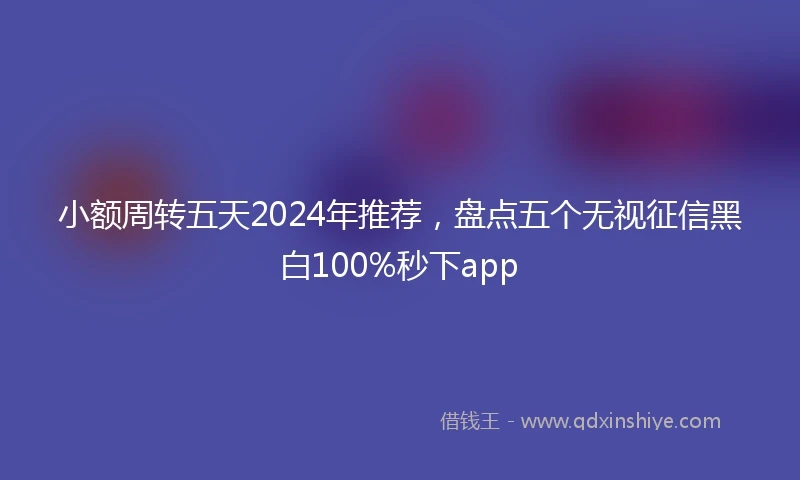 小额周转五天2024年推荐，盘点五个无视征信黑白100%秒下app