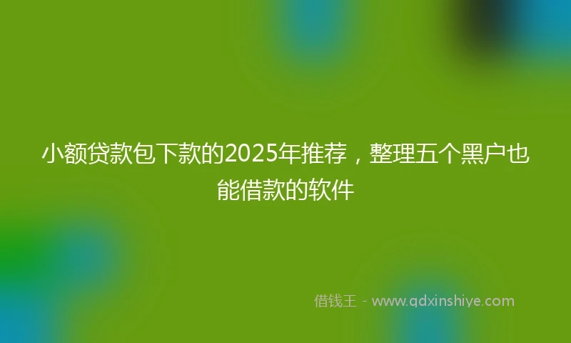 小额贷款包下款的2025年推荐，整理五个黑户也能借款的软件