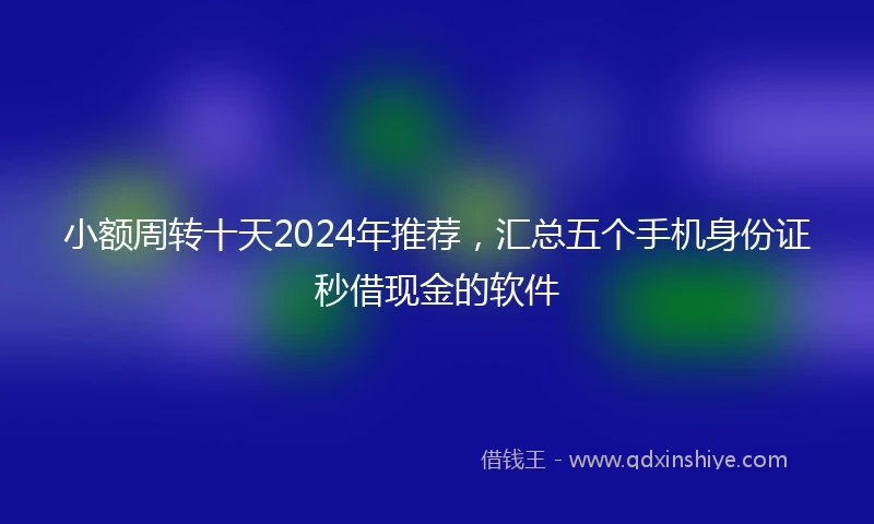 小额周转十天2024年推荐，汇总五个手机身份证秒借现金的软件
