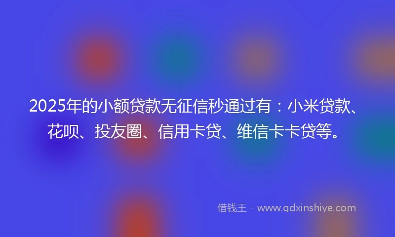 2025年的小额贷款无征信秒通过有：小米贷款、花呗、投友圈、信用卡贷、维信卡卡贷等。
