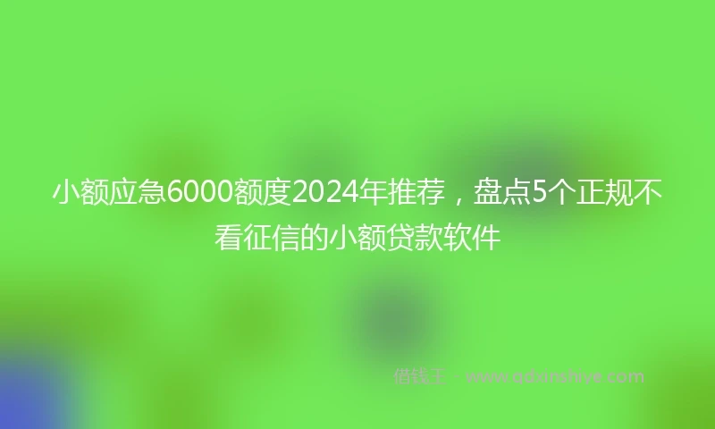 小额应急6000额度2024年推荐，盘点5个正规不看征信的小额贷款软件