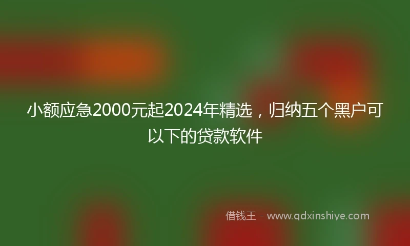 小额应急2000元起2024年精选，归纳五个黑户可以下的贷款软件