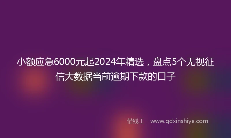 小额应急6000元起2024年精选，盘点5个无视征信大数据当前逾期下款的口子