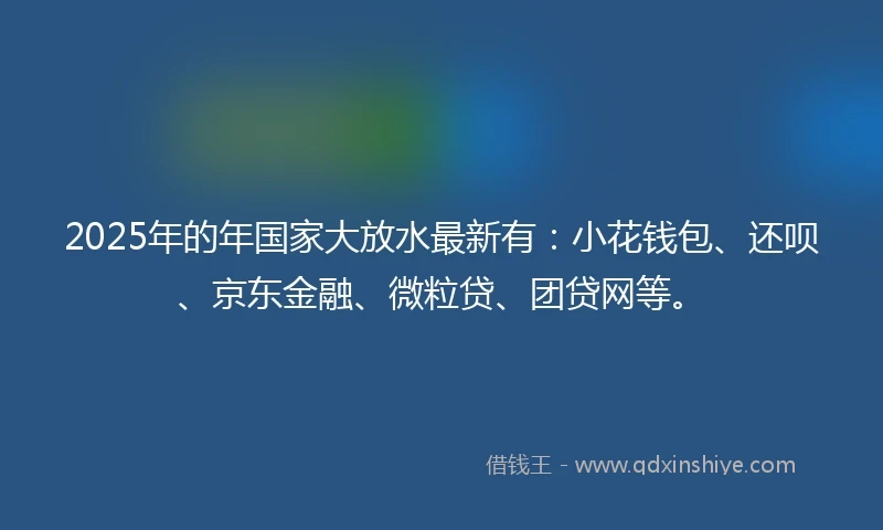 2025年的年国家大放水最新有：小花钱包、还呗、京东金融、微粒贷、团贷网等。
